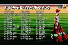 2025车载老歌DJ，重温那些动感十足的舞曲！