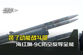 中国版爱国者导弹？海红旗9C公开，弹头密密麻麻180个喷口