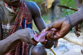 非洲土著的午餐，毛肚刺身直接吃，这个真的是对动物掏心掏肺