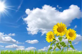 三个关键词快速了解地藏菩萨视频封面