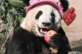 嘿嘿，丫丫公主带上个小粉帽子更可爱了吧