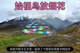 始祖鸟放烟花被全网追杀全解析 #始祖鸟 #蔡国强 #喜马拉雅 #官方