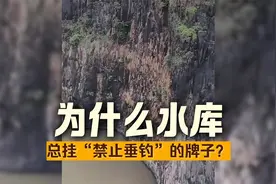 全国池塘禁钓真相曝光！钓鱼人背了十年黑锅，背后利益链惊人