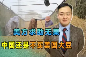 美方求助无果，中国还是不买美国大豆，这一次，轮到特朗普破防了视频封面
