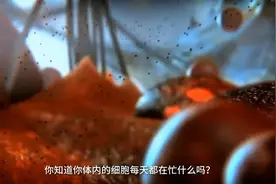 你知道你体内的细胞每天都在忙什么吗