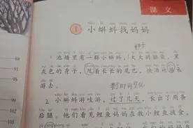 二年级上册 小蝌蚪找妈妈