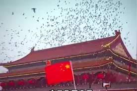 我不会是最后一个知道，天安门广场上放飞的八万羽和平鸽全是借来