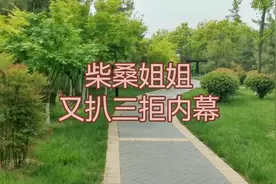 柴桑姐姐又扒三拒内幕