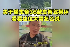 关于懂车帝36款车智驾横评，看看这位大哥怎么说