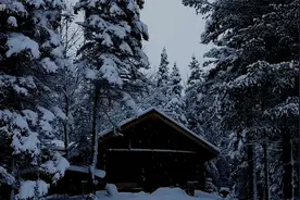 六旬老汉千日造屋记：三代同堂的温馨树屋生活