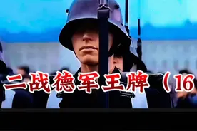 德国党卫军四大王牌战力分析（上）#第二次世界大战#