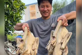 学长的叔叔抓了两只大鹅请客吃饭，做成湛江特色的白切盐擦鹅.