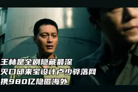 王林是全剧隐藏最深，灭口邱来宝设计卢少骅落网，携980亿隐海外