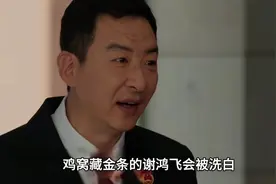 鸡窝藏金条的谢鸿飞竟然被洗白||#以法之名