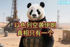 #【听风的蚕】以色列空袭伊朗 真相只有一个