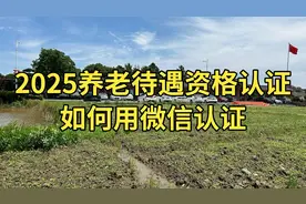 2025养老待遇资格认证，微信认证操作指南