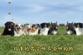 民间故事：不会叫的狗