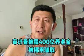 审计署披露400亿养老金被挪用骗取，追责问责4120多人，听大哥说