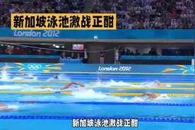 新加坡泳池激战正酣，中国泳军看点十足！ 2025年世界游泳锦标赛