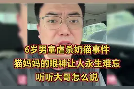 6岁男童虐杀奶猫事件，猫妈妈的眼神，让人永生难忘！听听他咋说