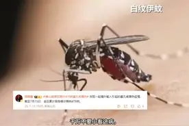 小心这种带条纹的小虫，千万别小看它！