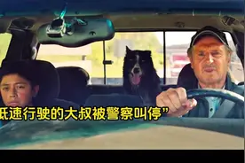 99%的人没看过，这绝对是连姆尼森最牛逼的一部电影，没有之一！视频封面