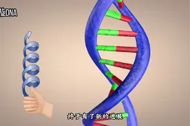 为什么生物DNA是右旋？困扰人类200多年生物谜题，终于有新进展