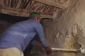 这是我见过最大的眼镜王蛇了，这块头比大腿还粗，太让人敬畏了！