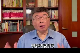 台湾常说的‘青鸟’是什么？邱毅揭秘：不是鸟，而是这个意思