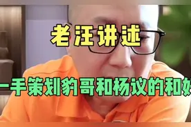 老汪讲述一手策划，豹哥和杨议师徒的重归于好