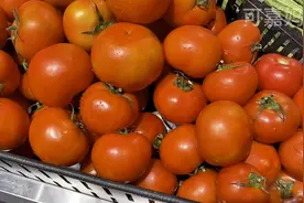 买番茄时 挑圆的还是尖的好？菜农教你一招，个个香甜暴汁易出沙