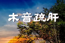 五音疗疾 |《茗香》木音疏肝，解郁去烦，舒心养性，养心调神