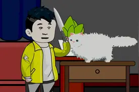 给我家猫做了绝育手术后，我竟能听见它说话了😰