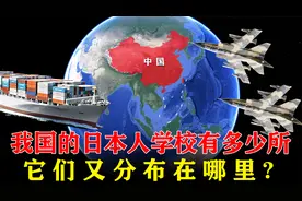 我国的日本人学校有多少所？它们又分布在哪里？