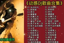 动感DJ歌曲合集🎸 ，凤舞九天，舞动青春，一起欣赏经典旋律…