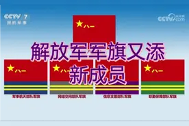 中国人民解放军兵种及其军旗