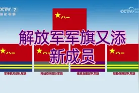 中国人民解放军兵种及其军旗