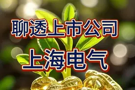 聊透上市公司之上海电气视频封面