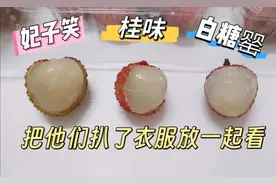 三大荔枝品种的测评，来看看有啥区别