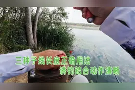 子线长短决定鱼获，三种长度用法对号入座，诱钓结合漂相清晰