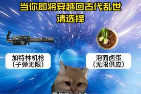 朕被你们害苦了啊 #猫meme #猫meme小剧场 #搞笑 #意想不到的结局
