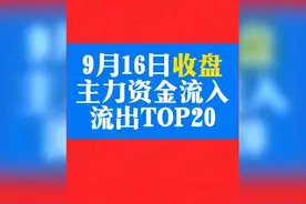 主力资金动向曝光！9月16日流入流出前20榜单出炉