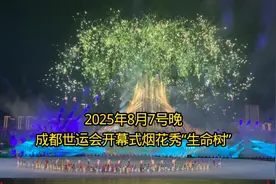8月7号成都世运会开幕式烟花秀“生命树”，现场画面太震撼了！