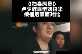 扫毒风暴卢少骅原型刘招华被捕后画面对比