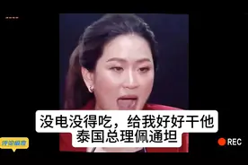 泰国总理佩通坦相关情况#没电没得吃