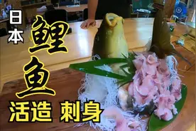 日本鲤鱼活造刺身！只取鱼肉、不破坏内脏！端上桌还在大口喘气视频封面