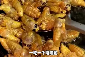 山东人对抓知了猴，真的有着深深的执念！😎😎#山东人#﻿知了