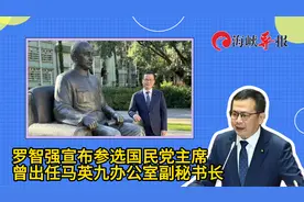 马英九爱将罗智强宣布参选国民党主席，首要目标2028年下架赖清德