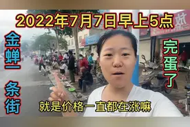 涨价涨的都没有人买了这回是彻底结束了金蝉烂大街了坐标山东临沭