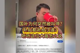 国补为何突然被叫停？补贴都补给了谁？听听这位大哥怎么说